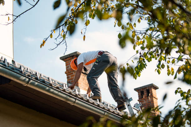 Best Roof Repair Services  in Oakbrook, KY