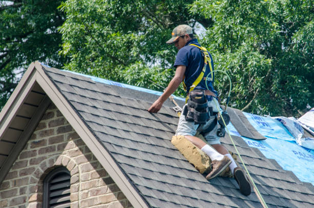 Best Shingle Roofing Installation  in Oakbrook, KY